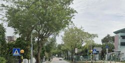 Hillcrest Road (D11), Semi-Detached #532878551